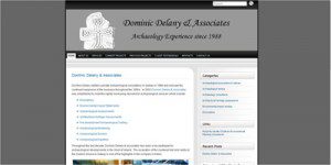 Dominic Delany & Associates- screen shot of website