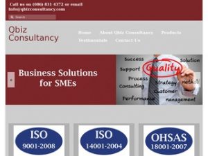 Qbiz Consultancy Website by PMR Web Marketing